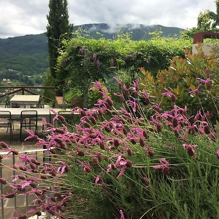 Agriturismo Braccicorti Hotel Pieve Fosciana Exterior foto