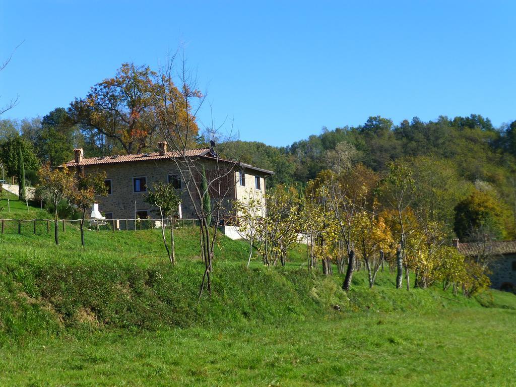 Agriturismo Braccicorti Hotel Pieve Fosciana Exterior foto