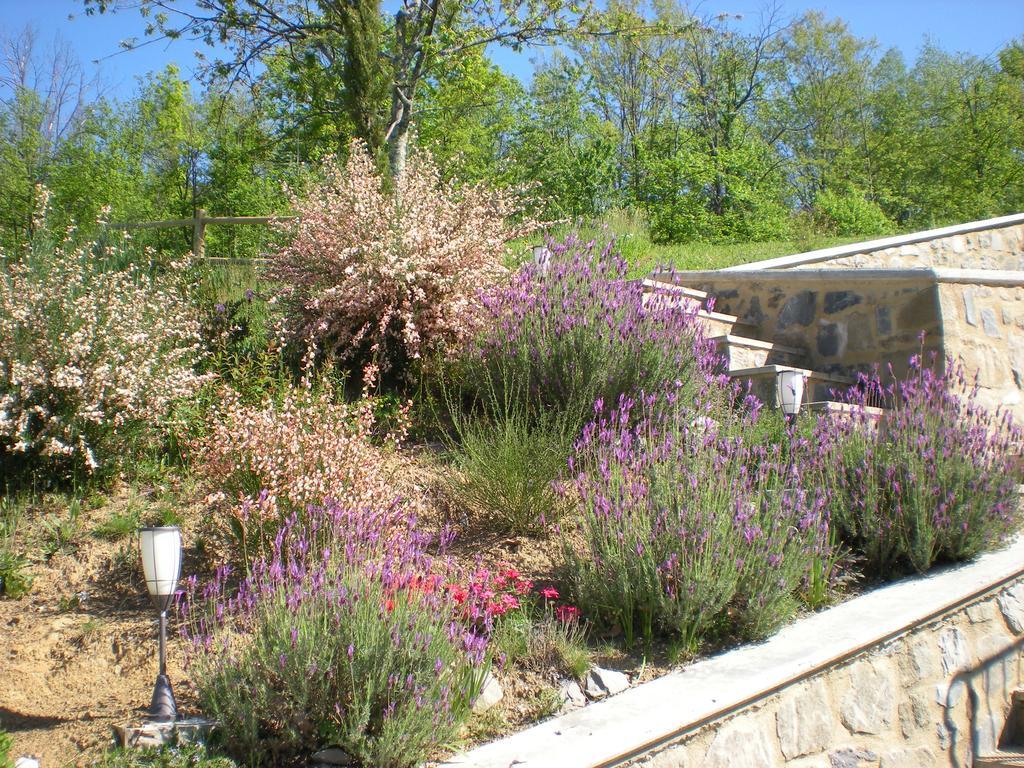 Agriturismo Braccicorti Hotel Pieve Fosciana Exterior foto